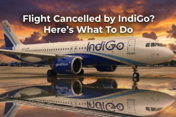 Flight Cancelled by IndiGo airport help desk support